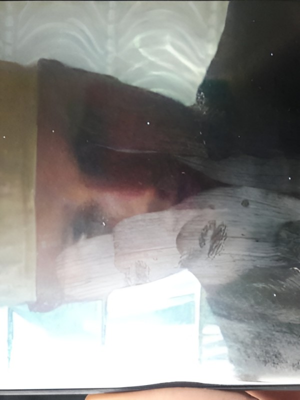 Тамара привлекательная девушка из Бунге цена от 3000 руб